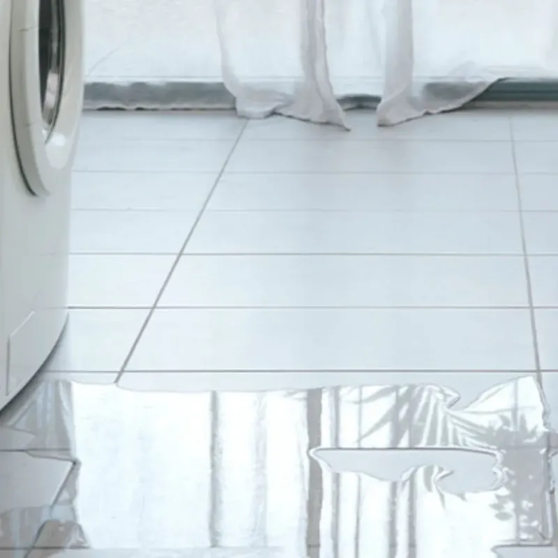 Appliance Leak Cleanup in Seven Points, TX