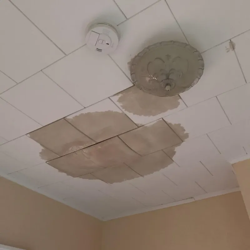 Ceiling Water Damage Repair in Seven Points, TX