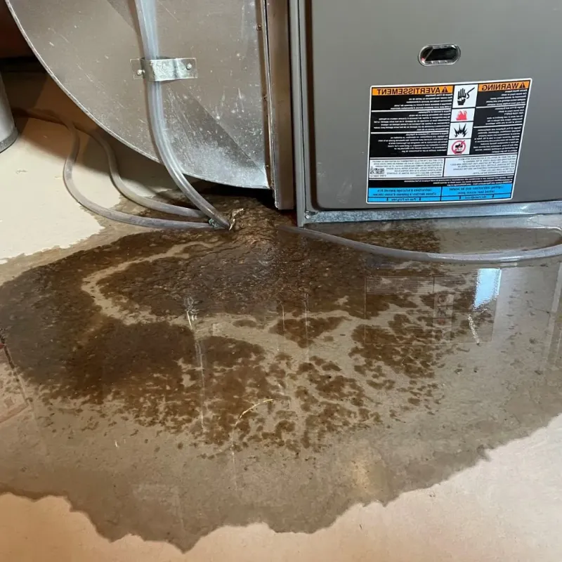 Pipe Burst and Leak Restoration in Seven Points, TX