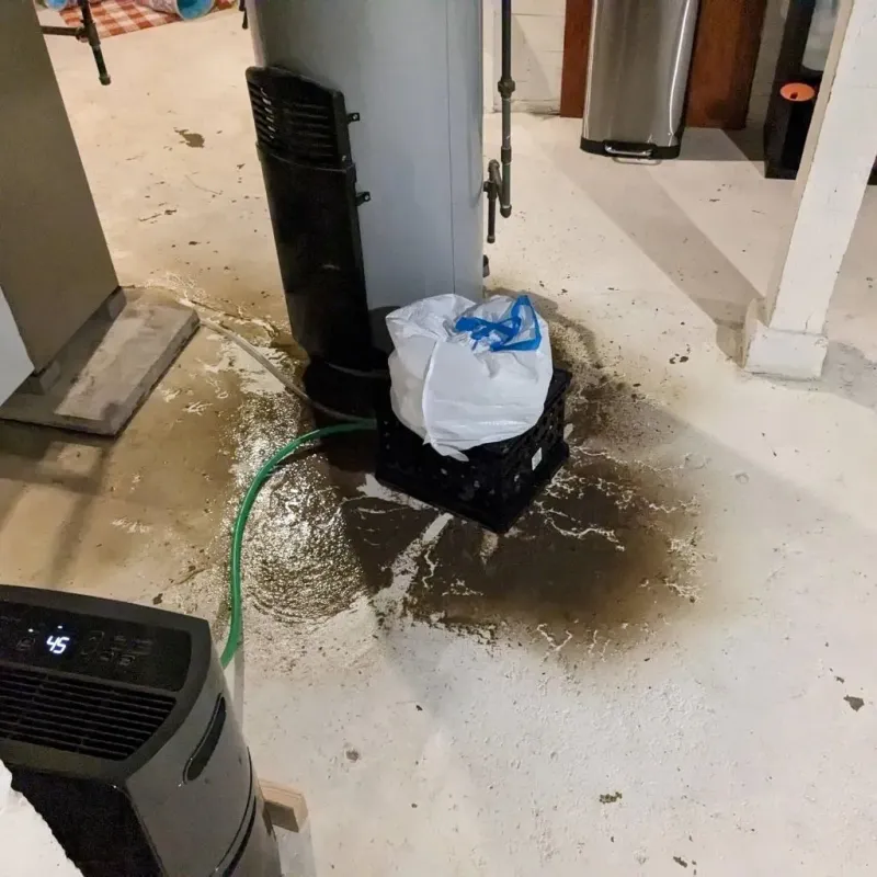 Sewage Backup Cleanup Service in Seven Points, TX